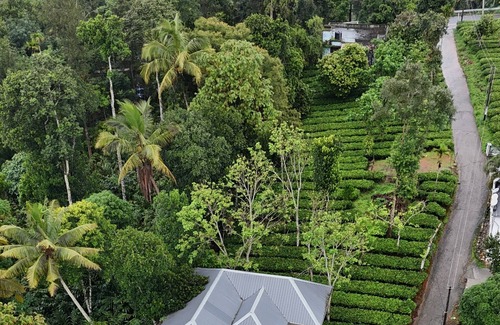 Kunchithanny Villa | Tea Haze Cottage Munnar