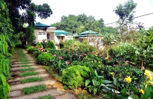 Maulvi Bazar Resort | Tea Heaven Eco Cottage