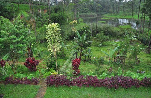 Kithulgala House | Teacher's Homestay Kitulgala