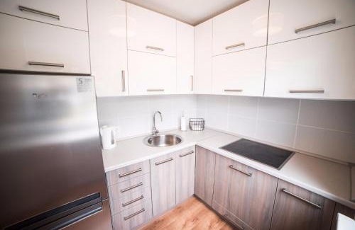 Daugavpils Apartment | Teatra32 Sunshine Home