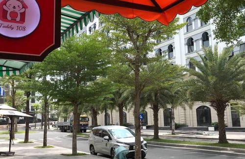 Ganh Dau Apartment | Teddy 108 Homestay (Pink Bear)