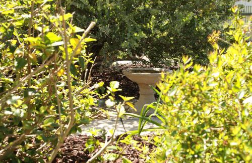 Greenock Bed & Breakfast | Telegraph Cottage