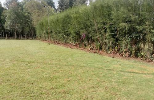 Eldoret Hotel | Tembo Lodge Eldoret