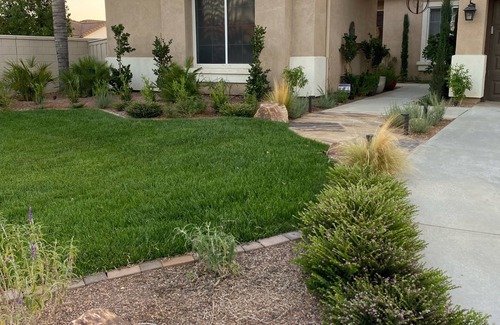 Temecula House | Temecula Valley Vegan-Style Living: Kale Yeah!