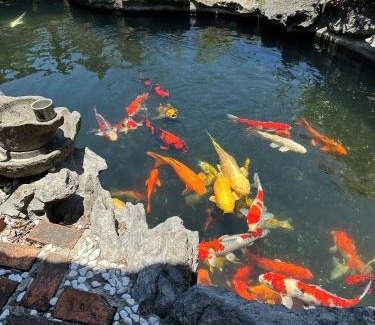 Phu Loc House | Temple Stay - Diem Phung Pagoda