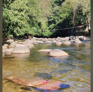 Cachoeiras de Macacu Apartment | Temporada em cachoeiras de Macacu