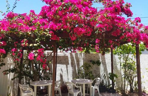 Porto de Sauipe House | Temporada Porto de Sauipe