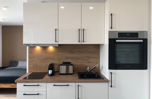 Schweinfurt Apartment | Temporary living in the heart of Schweinfurt furnished 1-room apartment with elevator