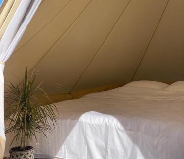 Rakvere Other | Tempus Te Glamping Lääne - Virumaal