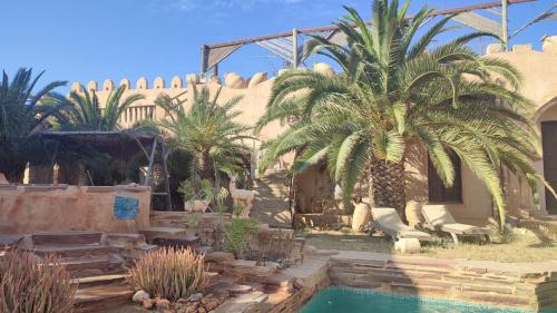 Triffa House | Tenasbook Rayhane