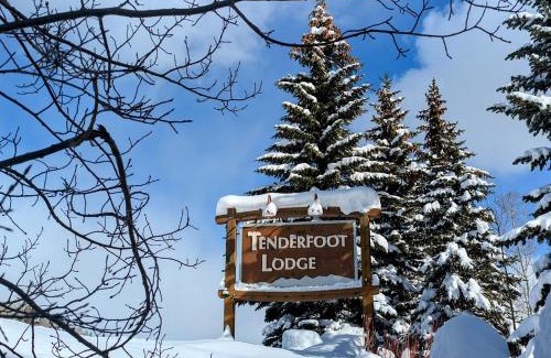 Mountain House House | Tenderfoot Lodge 2613 by SummitCove Lodging