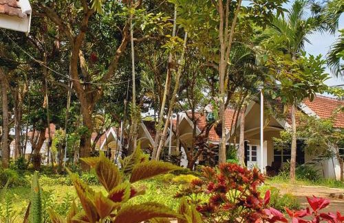 Tosari Hotel | Tengger Guesthouse