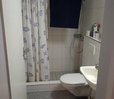 Ermatingen Apartment | Tengs