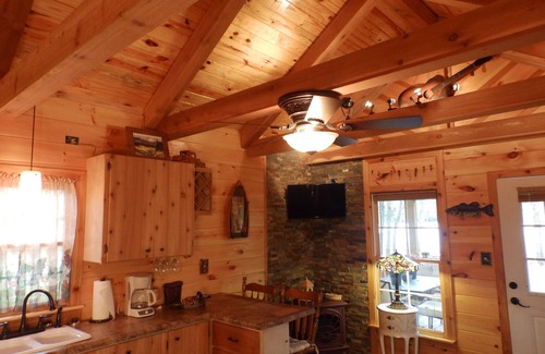 Whiteside Cabin | Tennessee River Gorge® Island Cabin Pool, Stay 3 nights 4th Free!