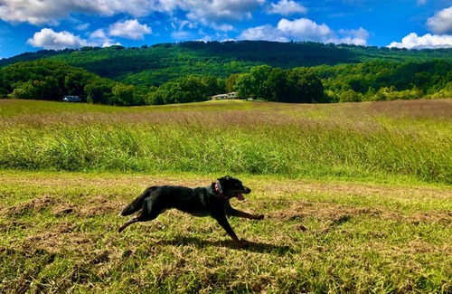 Lookout Valley Neighborhood Association Hotel | Tennessee Room at Tennessee RiverPlace