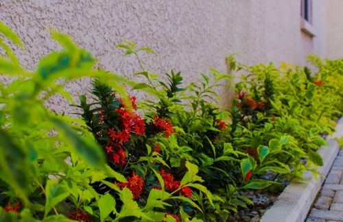Abuja Apartment | Tenny's Place Apartments