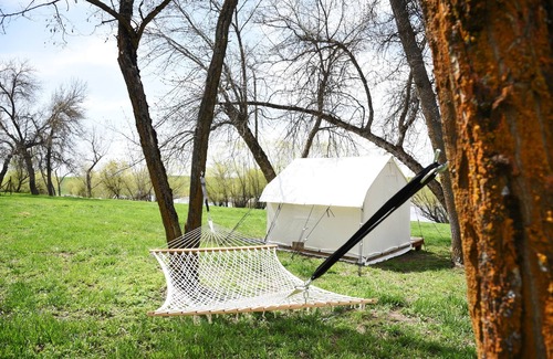 Harvard RV Rental | Tent Platform 4 | Pond View Glamping Tent