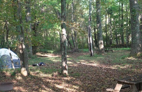 Suches RV Rental | Tent Space – Assigned Spot with Electrical #5