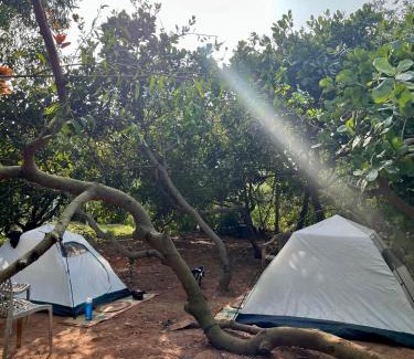 Auroville Other | Tentopia