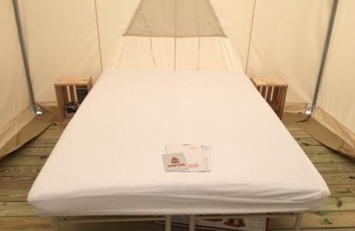 Springfield Other | Tentrr - Louisiana Tickfaw State Park - Woodland E - Double Camp