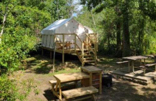 Springfield Other | Tentrr - Louisiana Tickfaw State Park - Woodland H - Single Camp