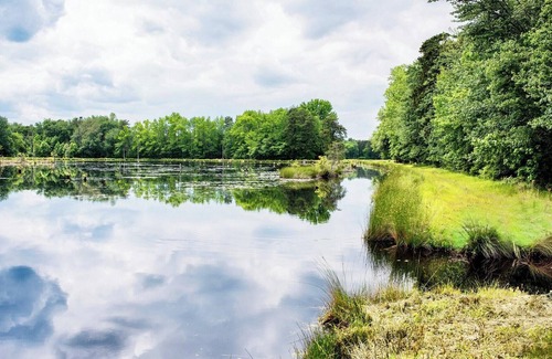 Birmingham RV Rental | Tentrr Signature Site - Pinelands Getaway
