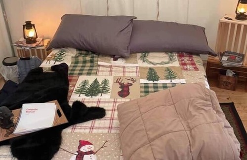 Smithville Flats RV Rental | Tentrr Signature Site - Adirondack - Coleman Outfitted Site