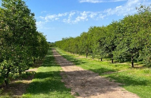 Central Lake RV Rental | Tentrr Signature Site - Shooks Farm Site