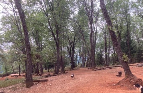 Cedar Ridge RV Rental | Tentrr Signature Site - NorCal Red Dog Ridge Base Camp