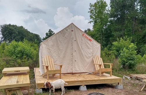 Little Rock RV Rental | Tentrr Signature Site - The Great Southern Jordan Ranch & Family Farms