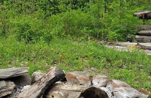 Rock Stream RV Rental | Tentrr Signature Site - Beerocracy Colonial Camp