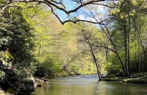 Newland RV Rental | Tentrr Signature Site - Hellbender Hollar Campsite