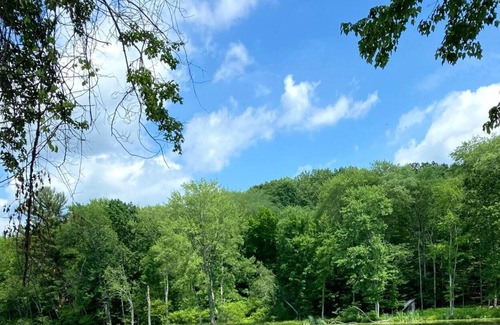 Town of Marbletown RV Rental | Tentrr Signature Site - Lower Pond Tent
