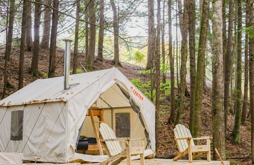 Bristol RV Rental | Tentrr Signature Site - Whispering Pines At The River