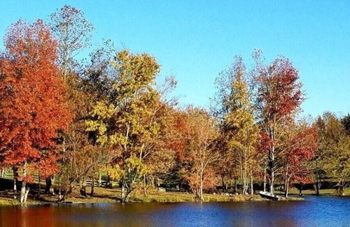 Cumberland RV Rental | Tentrr Signature Site - Shepherd's Meadow