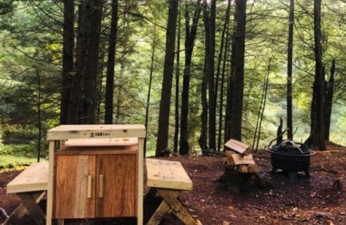 Kauneonga Lake Other | Tentrr Signature Site - Come As You Are at the Tentrr Catskill Retreat - Single Camp