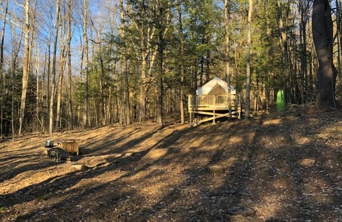 Spencer Other | Tentrr Signature Site - Hart of the Woods