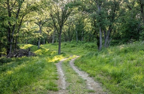 Thurston County RV Rental | Tentrr Signature Site - Hawthorn campsite 3