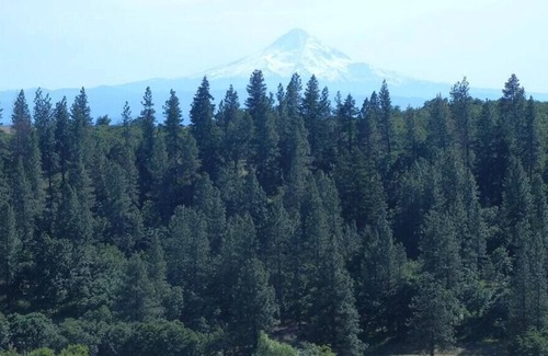 Lyle RV Rental | Tentrr Signature Site - Lakeside at Klickitat Ranch