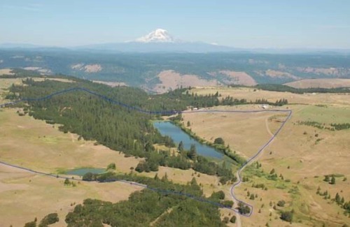Lyle RV Rental | Tentrr Signature Site - Lakeside at Klickitat Ranch