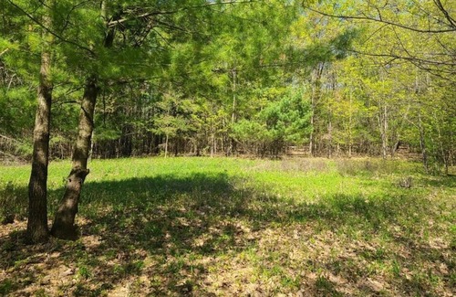 Ouaquaga RV Rental | Tentrr Signature Site - Occanum Creek