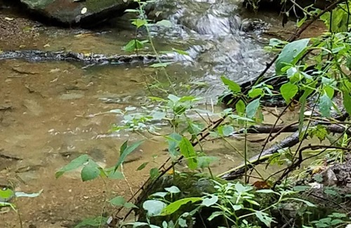 Hamburg RV Rental | Tentrr Signature Site - Peaceful by Pigeon Creek