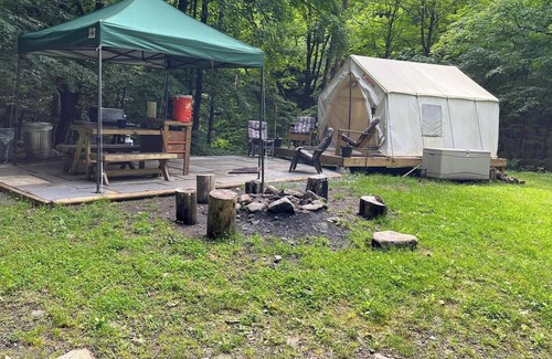Fishs Eddy RV Rental | Tentrr Signature Site - Paradise Falls - Coleman Outfitted Site