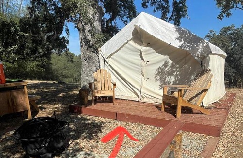 Drytown Other | Tentrr Signature Site - Rancho Amador Site 1