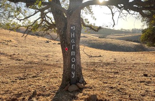 Drytown Other | Tentrr Signature Site - Rancho Amador Site 3