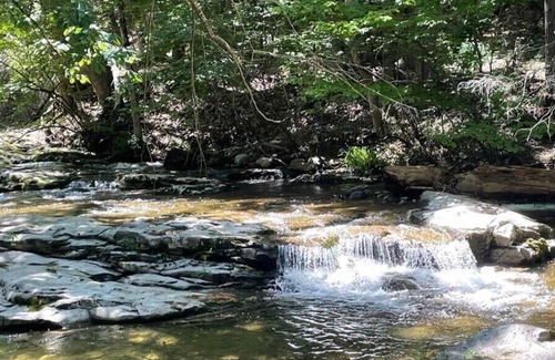 Accord RV Rental | Tentrr Signature Site - The Hudson Valley Luxury Glamping Forest Sanctuary