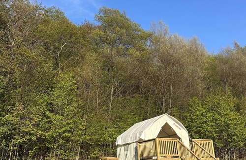 Walton RV Rental | Tentrr Signature Site - The Loft @Haven