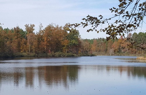 Beaverdam RV Rental | Tentrr Signature Site - Sunset on the Pond at All Good Acres