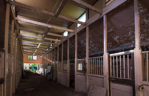 Catskill RV Rental | Tentrr Signature Site - The Old Catskill Game Farm Abandoned Zoo: Fido's Viney