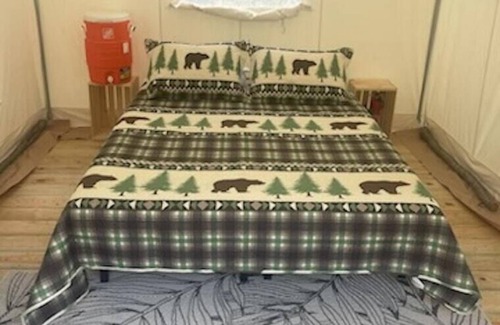 Lehighton RV Rental | Tentrr Signature Site - Mountain Spring Retreat